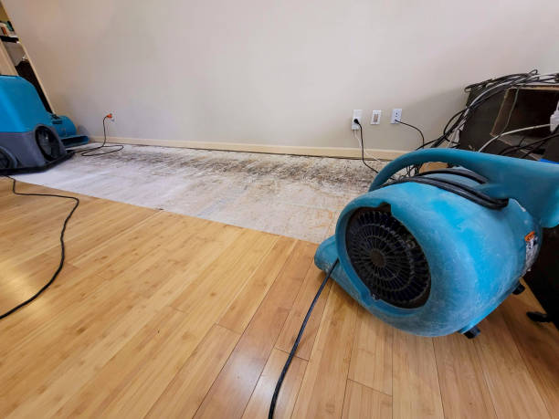 Professional Basement Flood Cleanup technician working in Chehalis, WA